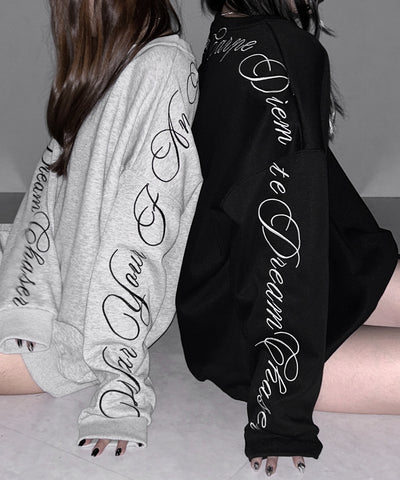 レタリングロゴ刺繍スウェットプルオーバー / lettering logo embroidery sweat pullover