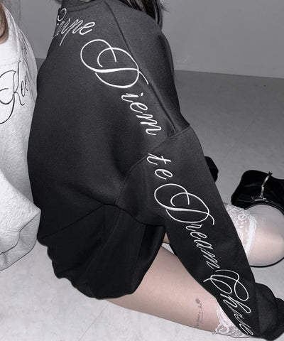 レタリングロゴ刺繍スウェットプルオーバー / lettering logo embroidery sweat pullover