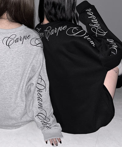 レタリングロゴ刺繍スウェットプルオーバー / lettering logo embroidery sweat pullover