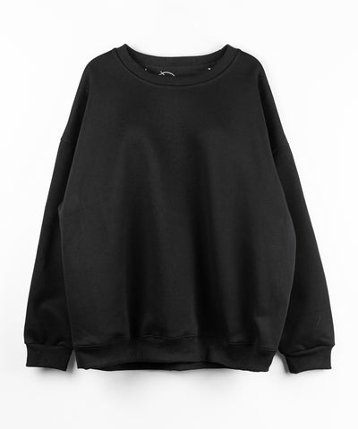 レタリングロゴ刺繍スウェットプルオーバー / lettering logo embroidery sweat pullover