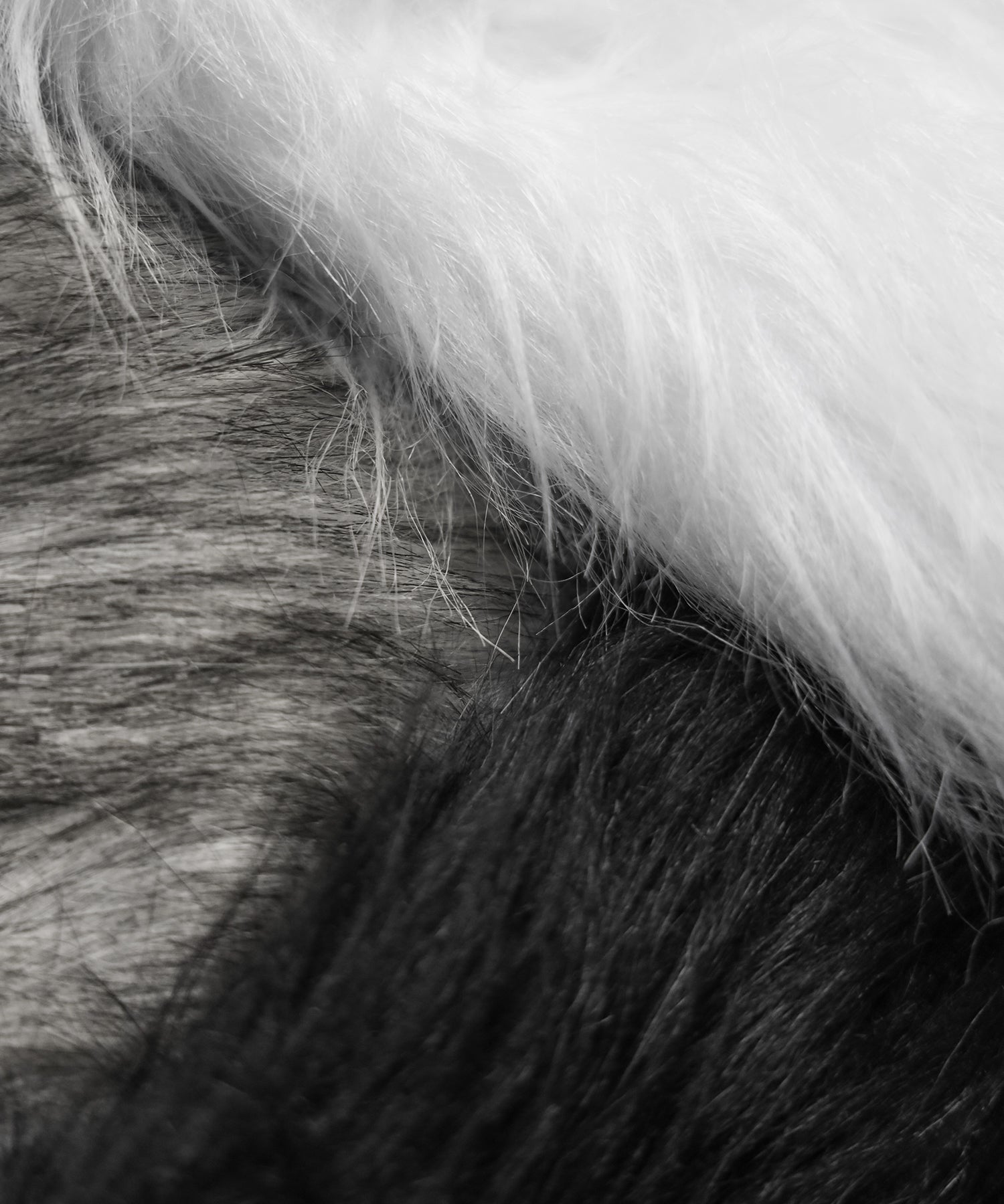 フェイクファーレッグウォーマー / fake fur leg warmer