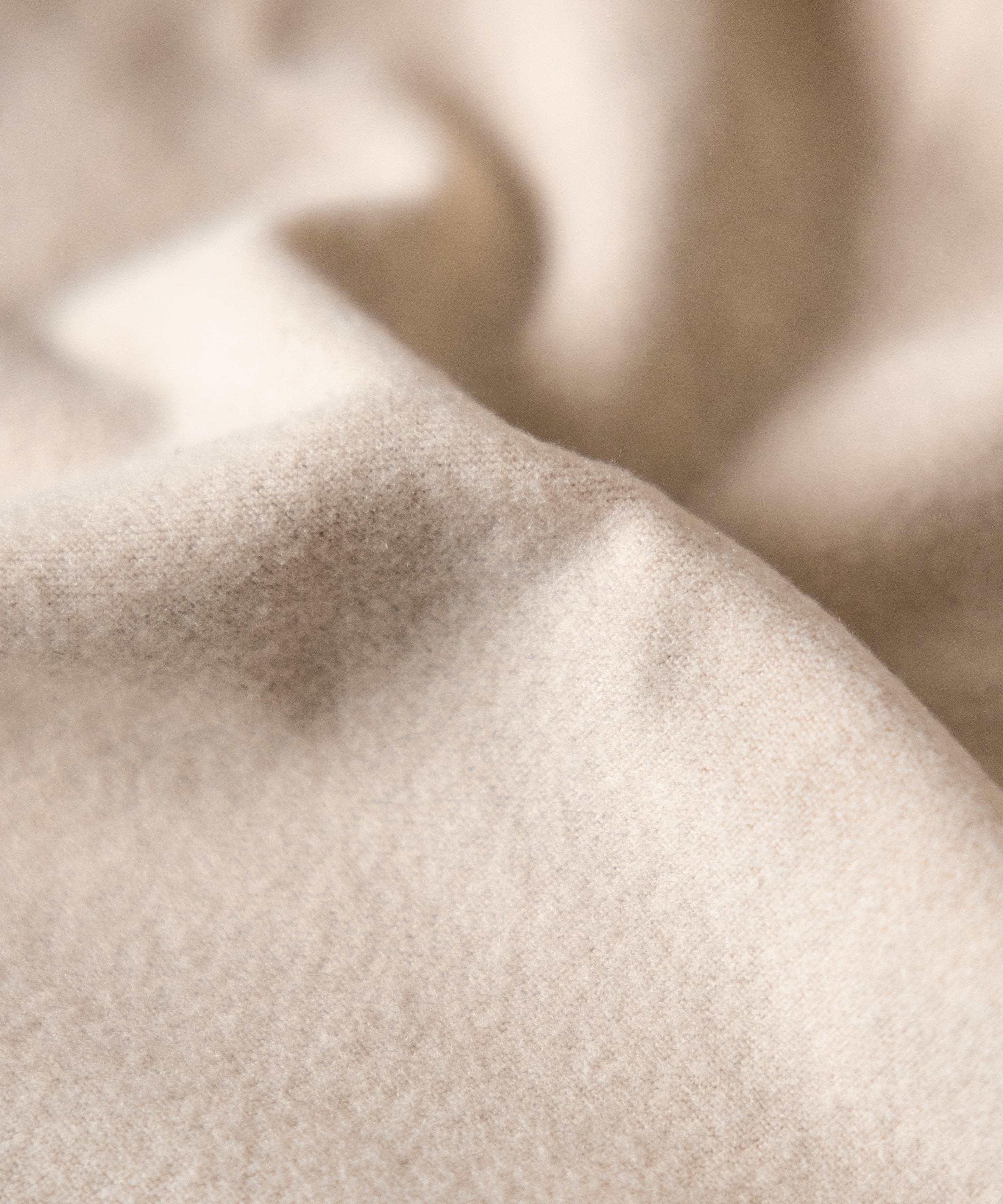 【 裏起毛 】フロントリボンレースレイヤードスクエアネックトップス / urakimo front ribbon lace layered square neck