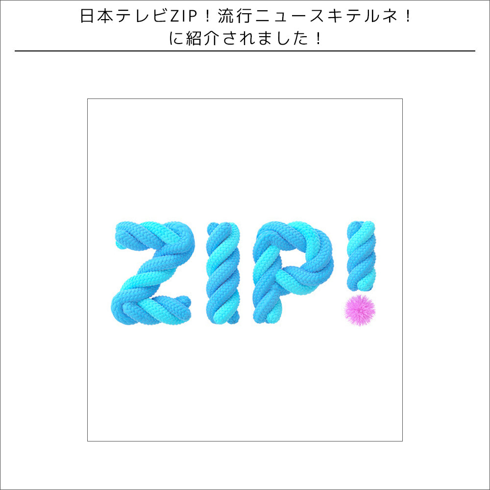 TV紹介情報/ 日本テレビZIP！流行ニュースキテルネ！
