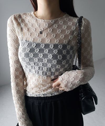 【 ２color 】デイジーレースチュールシアートップス ／ daisy race tulle sheer tops