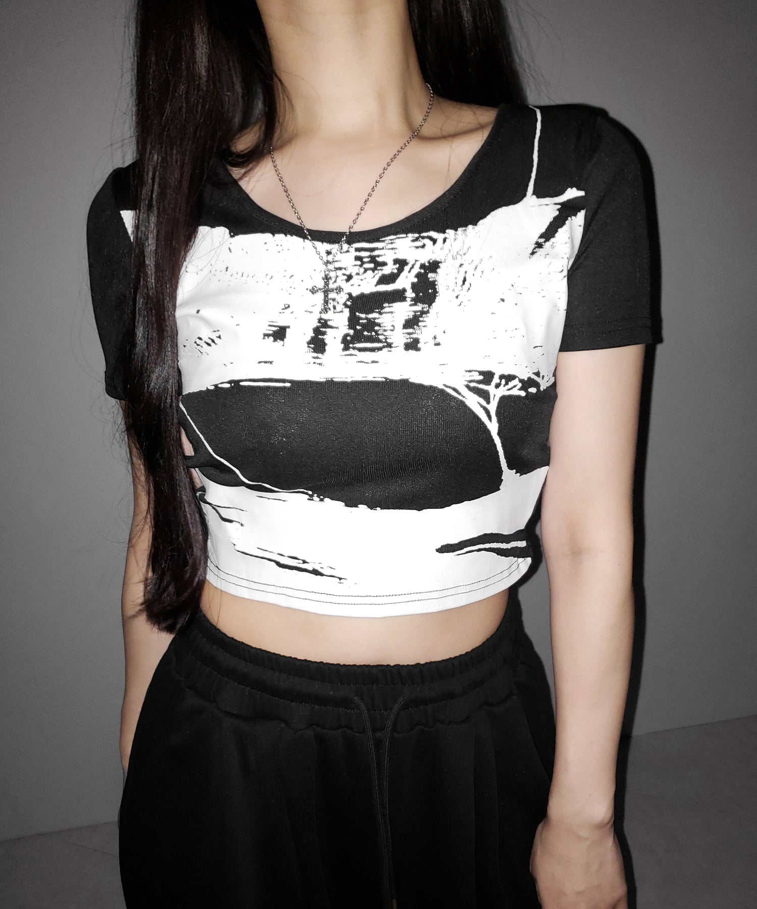 ヴィンテージプリント半袖ショートリブＴシャツ ／ vintage print short sleeve short lib t-shirt