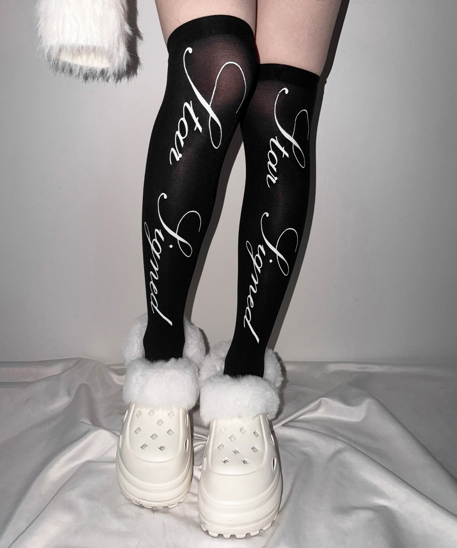 【 選べる３柄アソート 】レタリングロゴシアーニーハイソックス ／ lettering logo sheer knee high socks
