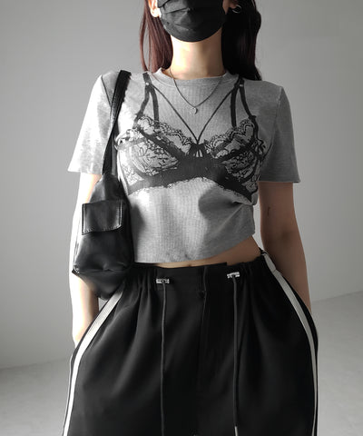 【 ３color 】レースランジェリー半袖クロップドＴ ／ lace lingerie short sleeve cropped T